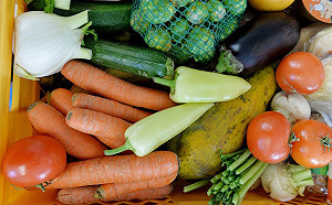 氣喘兒怎麼吃？綠色蔬果是個好選擇