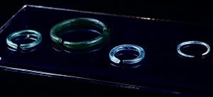 全國第一檔遺址特展！十三行博物館飾品獨特精美