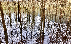 想拍鮮豔、蕭瑟都可以！花蓮美景風格大不同