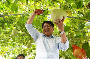 屏東熱博今閉幕 入園人次創歷屆新高