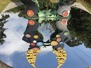 魯冰花伴茶香至3/12！桃園這場母親之花的故事