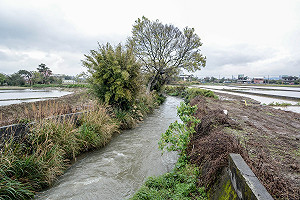 桃園機場不再淹水!鄭文燦：埔心溪全流域整治