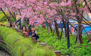 把握白天好天氣！氣象局：入夜濕冷鋒面將通過