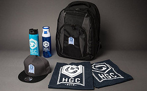 電競護照登場！《暴雪英霸》HGC全球冠軍賽亞太對決台北開打