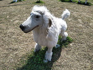 票選新北燈會最愛燈區 有機會牽回萌犬花燈