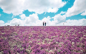 號稱手機界單眼！三星舉辦攝影展