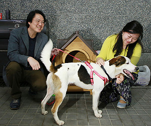 基市官邸喜迎「林吉米」 林右昌籲愛狗人認養浪浪