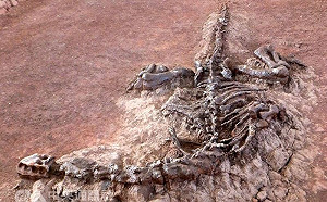 蛤！1.95億年前恐龍化石血管中發現這個了