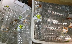 噁！回收寶特瓶裝水再賣  10年獲利3百多萬