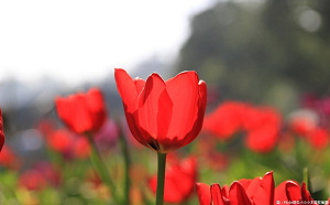 東北季風減弱 天氣穩定氣溫回升