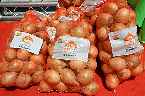 屏東好洋蔥正值產季 風味甘美入菜超美味