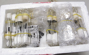 蟲蟲威脅大！違法輸入植物或未檢疫 最高可罰15萬