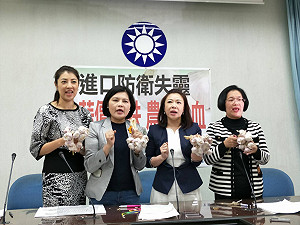 藍批蒜價崩跌政府無能 綠指優先助蒜農解決問題
