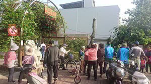 茂密芒果樹被剃光頭 里長怒罵「王Ｘ蛋！」