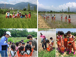 1730萬補助13縣市24個濕地  內政部邀在地鄉親共襄盛舉