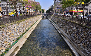 藏汙? 網路謠言又亂扯! 看看開蓋的綠川網美特愛