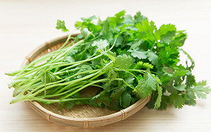 清明應景食材抽驗  香菜農藥殘留超標遭罰