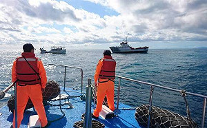 聯合國禁25艘北韓船舶入港  航港局配合