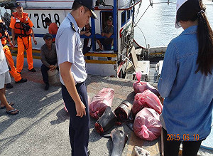 疑海上私宰保育海豚當餌 船長遭法辦