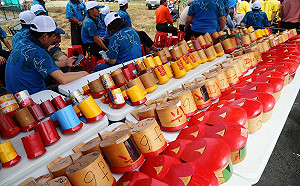 保留傳統文化 嘉義縣鴿笭季起飛