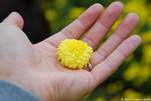 清明連假Day1！北有午後雷陣雨 西半部空品擴散差