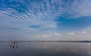來高美濕地免塞車！專車 交管徒步區雙管齊下