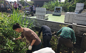 家戶返鄉祭切記「4不2記得」 行政院提醒3招避免蟲蟲危機