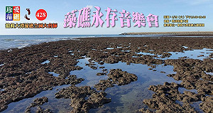 喚起小英搶救「藻礁長存」 救藻礁428再上凱道大會師