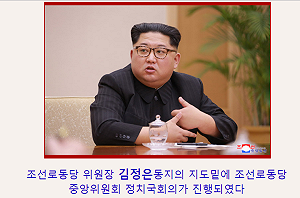 金正恩全面棄核拚經濟？東西方專家有所保留