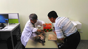 植物也要有醫生！中興大學植物診療機構今開幕