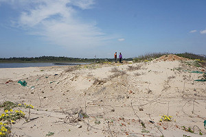 金門風吹沙影響交通水庫  議員官員共商解方