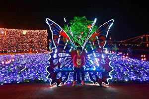 水岸蝴蝶公園換新裝！9萬支光雕風車化身繽紛光影地景