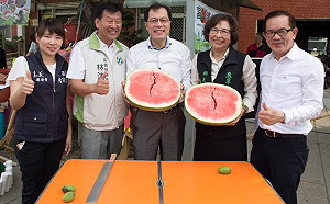 好吃又好玩！鹿草採芒趣西瓜新鮮嚐
