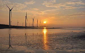 高美濕地假日交通管制 今起實施！