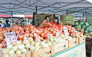 恆春洋蔥在台北！小農＋花市＋美食都在假日市集