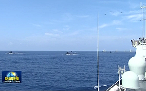 讀者投書》不能放任中國霸凌民主國家