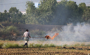 燃燒稻草毀空品！南投推「碎稻草養土」護環境