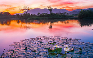 桃園hen美！透過鏡頭看見不一樣的日出日落