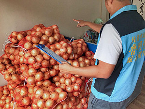 有洋蔥! 捐發票送洋蔥 議員創意助小農