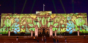 驚豔！白金漢宮熱帶森林燈光秀 綠意留給下一代