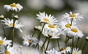 水氣退散天氣轉乾！中南部空品亮橘燈