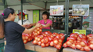 上國道大吃洋蔥去！國道休息站增7站大推恆春洋蔥
