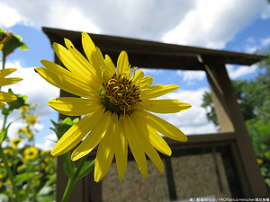 天氣回暖留意溫差大！高屏空品亮紅燈警示