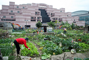 全台最貴菜園賣出了 35.5億元拍板成交