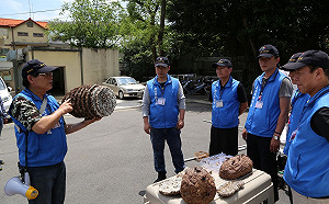 職權轉移高裝檢 動保處備戰「蜂」起時