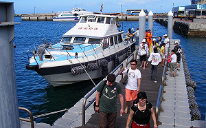 4月最夯旅遊盛事！澎湖花火節創21億觀光產值