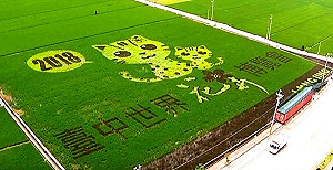 台中花博年底開幕  特約商店超過兩千家