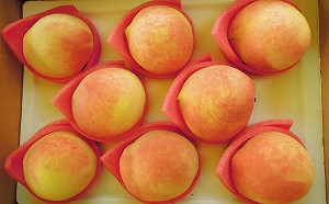 那瑪夏水蜜桃撐過冰雹攻擊！鮮甜蔬果＋賞螢之旅正夯