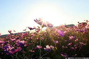 鋒面遠離雨漸停 北部留意清晨低溫