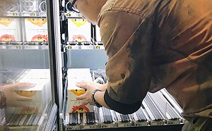 桃捷福袋夯到缺貨！全新改版400份今再加碼開賣